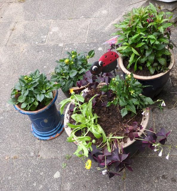 Open Huis op 3 augustus 2025